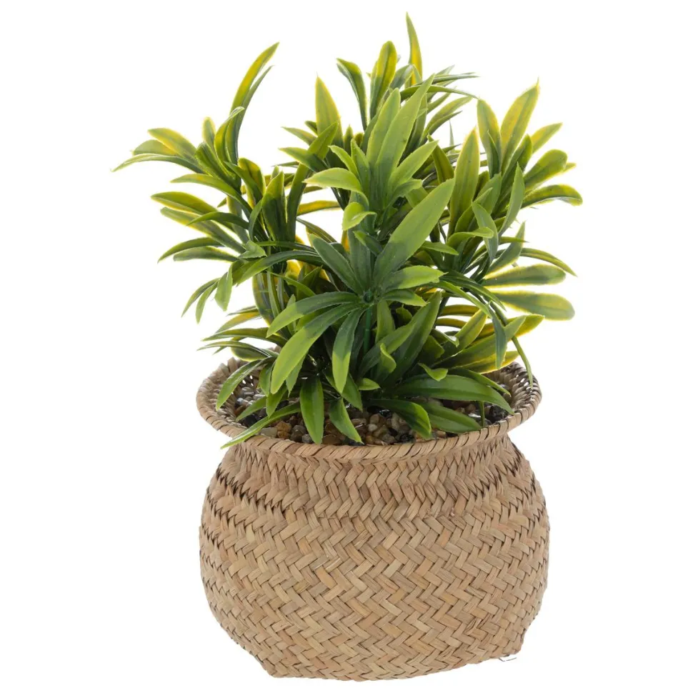 maxibazar Plante Pot Naturel Jil H.20Cm