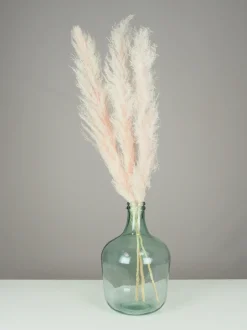 maxibazar Plumeau Pampa Naturel H.110Cm Rose X3 Pieces