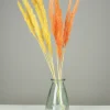 maxibazar Plumeau Pampa Naturel H.90Cm Jaune Et Orange X6 Pieces