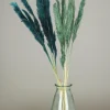 maxibazar Plumeau Pampa Naturel H.90Cm Bleu Et Vert X6 Pieces