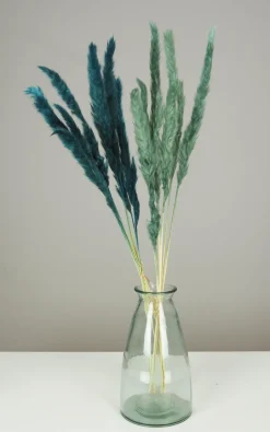 maxibazar Plumeau Pampa Naturel H.90Cm Bleu Et Vert X6 Pieces