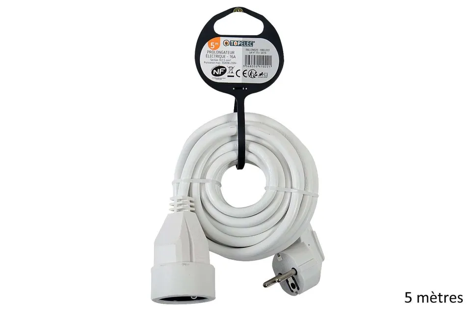 Rallonge 16A Avec Terre 5 Metres