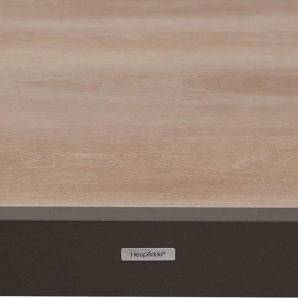 Table Piazza Extensible Aluminium Houblon 12 Places