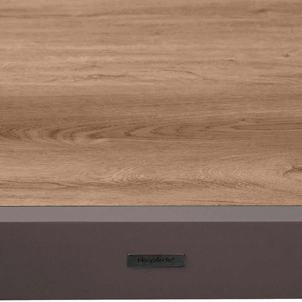 Table Piazza Extensible Aluminium Houblon 10 Places