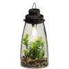 Atmosphera Terrarium Ampoule Plante H.31Cm