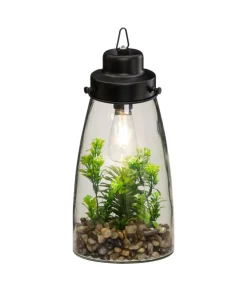 Atmosphera Terrarium Ampoule Plante H.31Cm