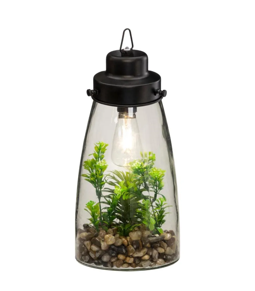 Atmosphera Terrarium Ampoule Plante H.31Cm