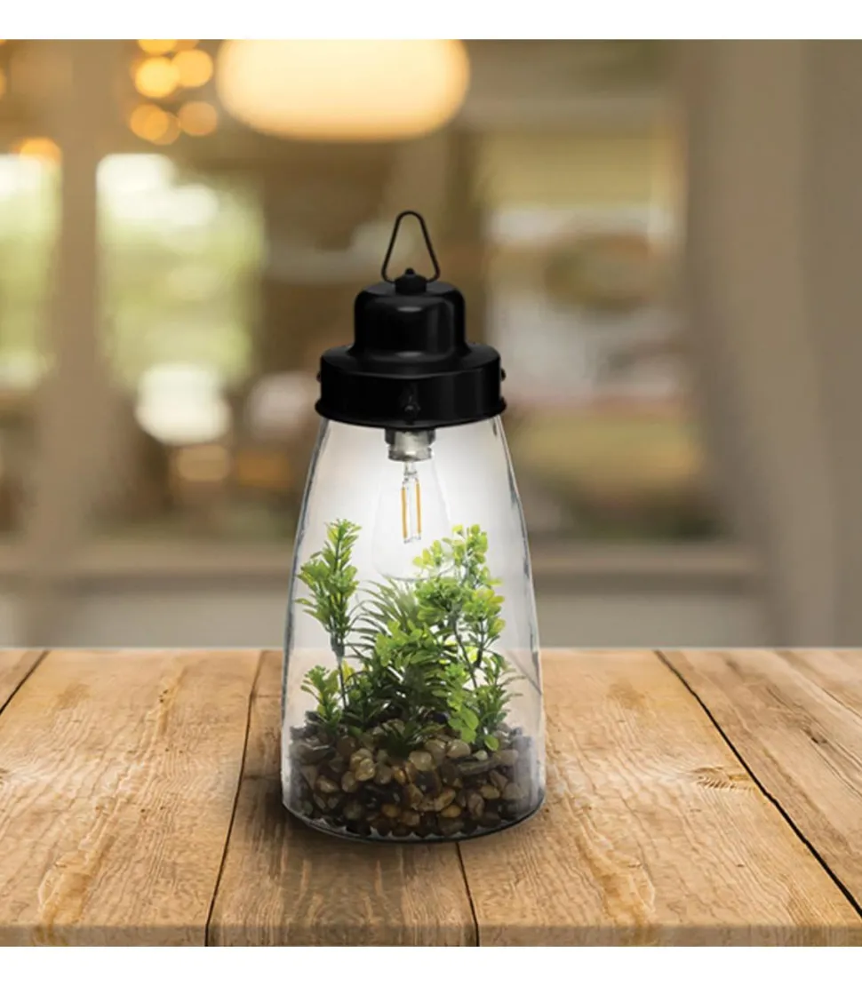 Atmosphera Terrarium Ampoule Plante H.31Cm