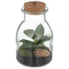 maxibazar Terrarium Verre Botanic H.19Cm