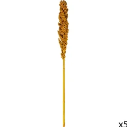 Atmosphera Tiges Sechees Naturel Ocre