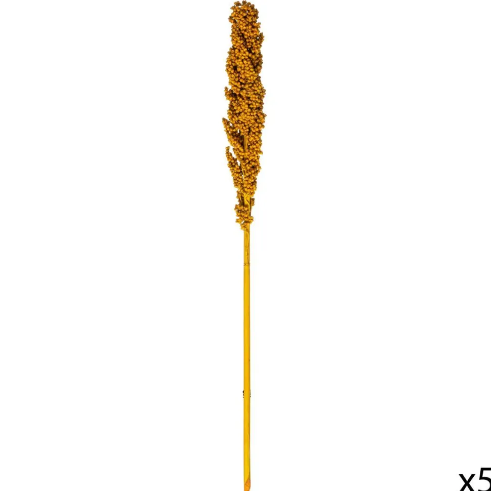 Atmosphera Tiges Sechees Naturel Ocre