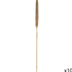 Atmosphera Tiges Sechees Naturel Ocre