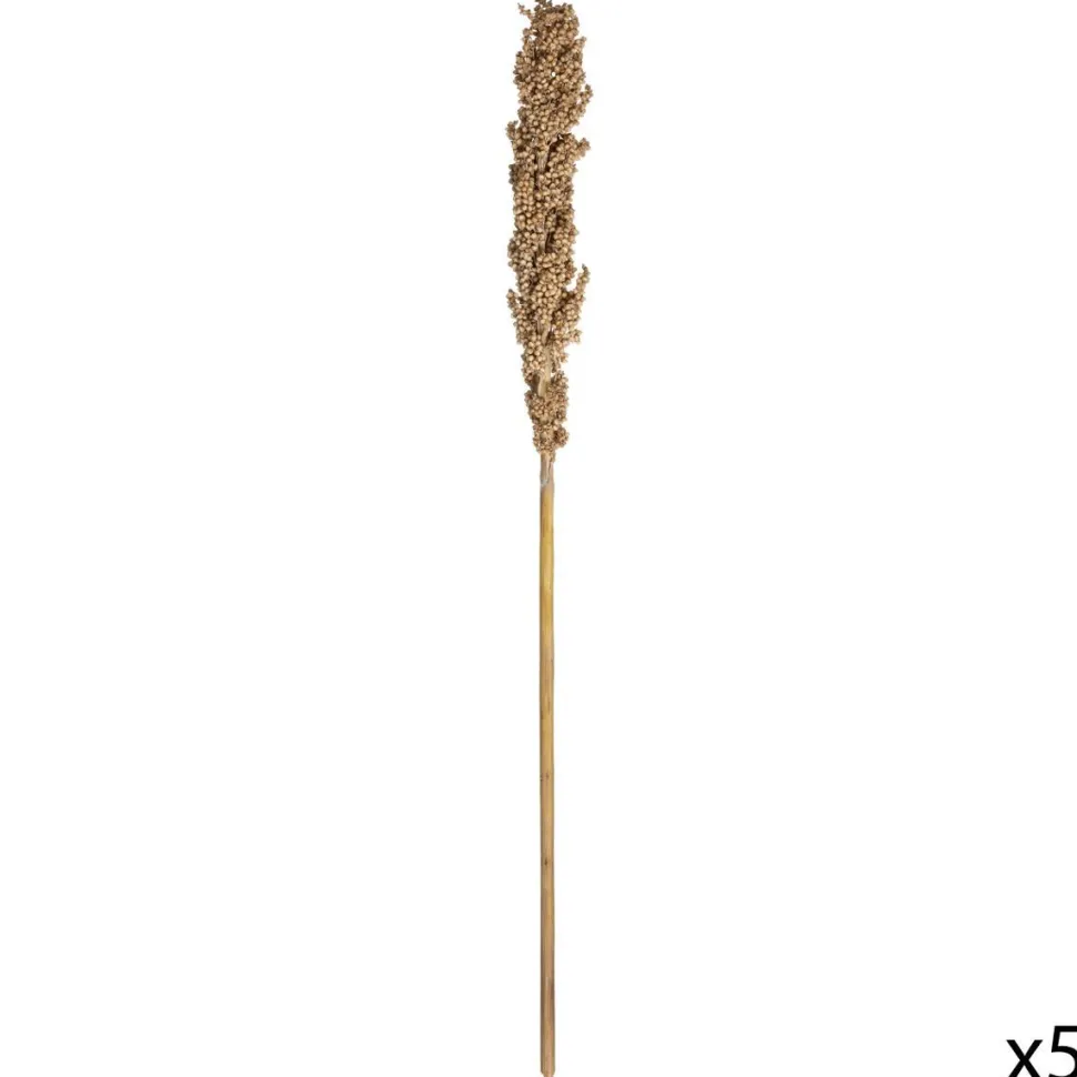 Atmosphera Tiges Sechees Naturel Ocre