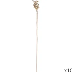 Atmosphera Tiges Sechees Naturel Ocre