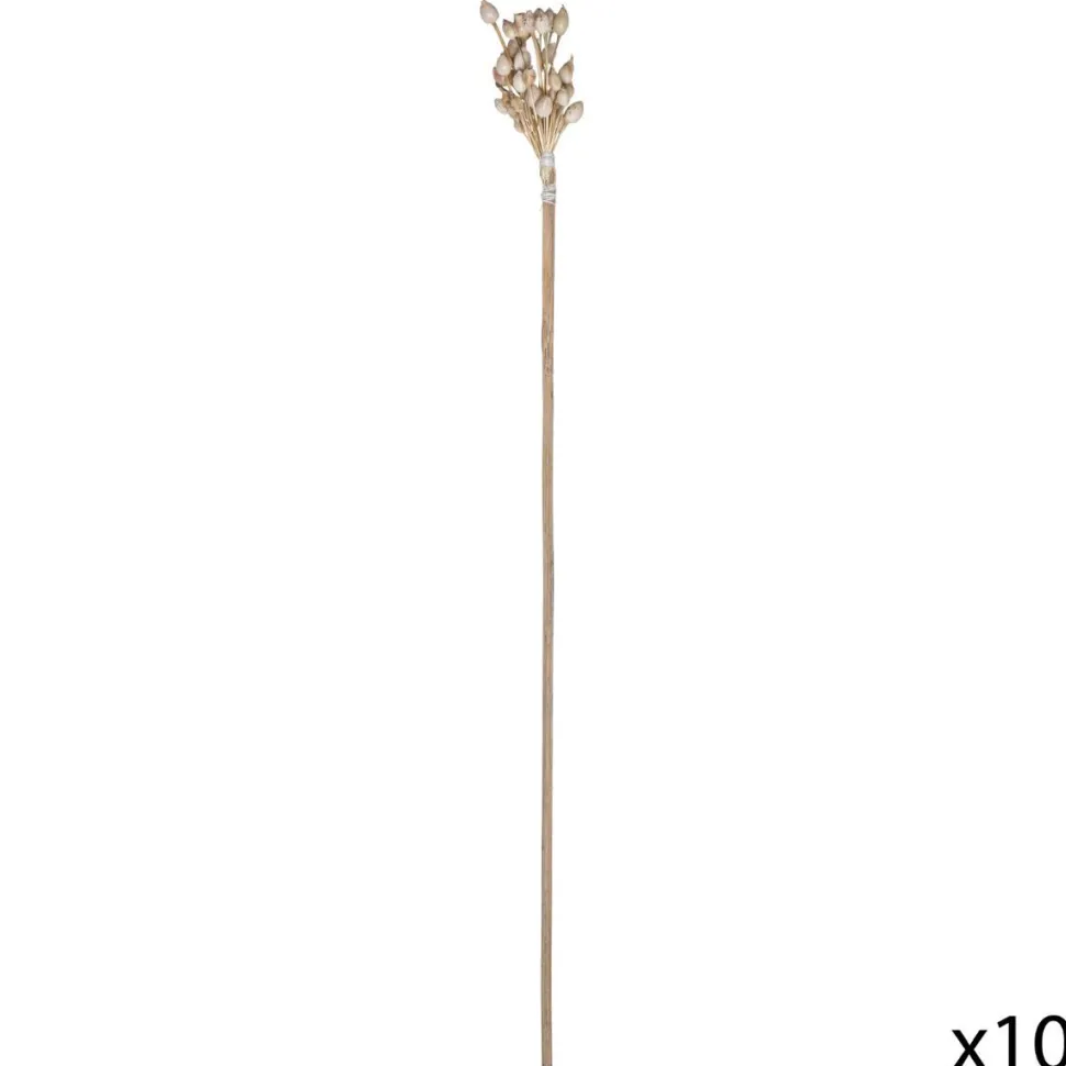 Atmosphera Tiges Sechees Naturel Ocre