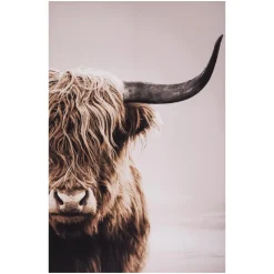 maxibazar Toile Imprimee Animaux D.75X115Cm