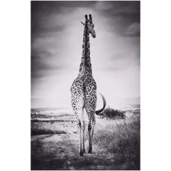 maxibazar Toile Imprimee Animaux D.75X115Cm