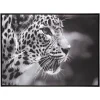 Atmosphera Toile Imprimee Leopard D.58X78Cm