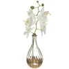 maxibazar Vase Orchidee Edition H.40Cm