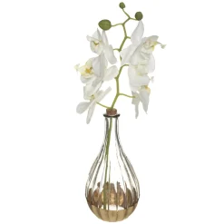 maxibazar Vase Orchidee Edition H.40Cm