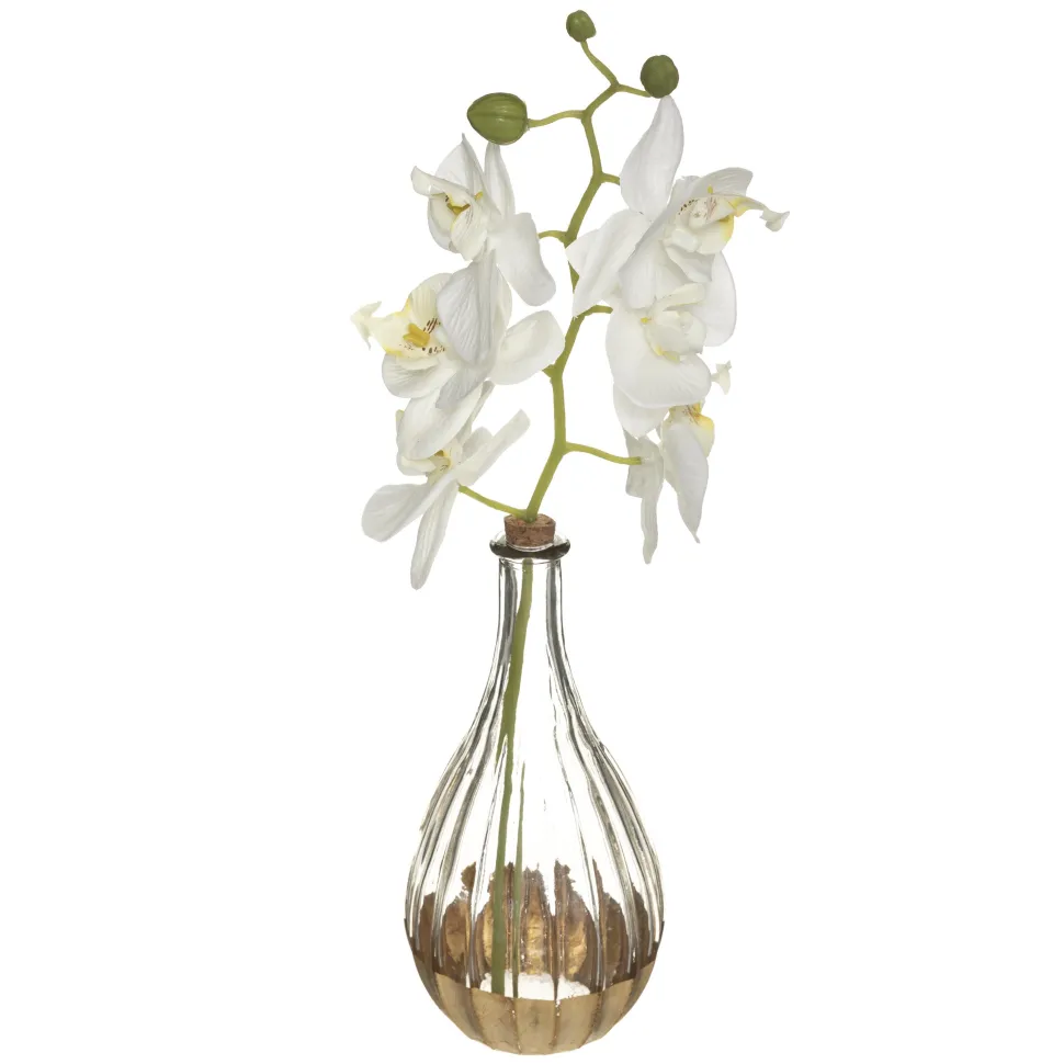 maxibazar Vase Orchidee Edition H.40Cm
